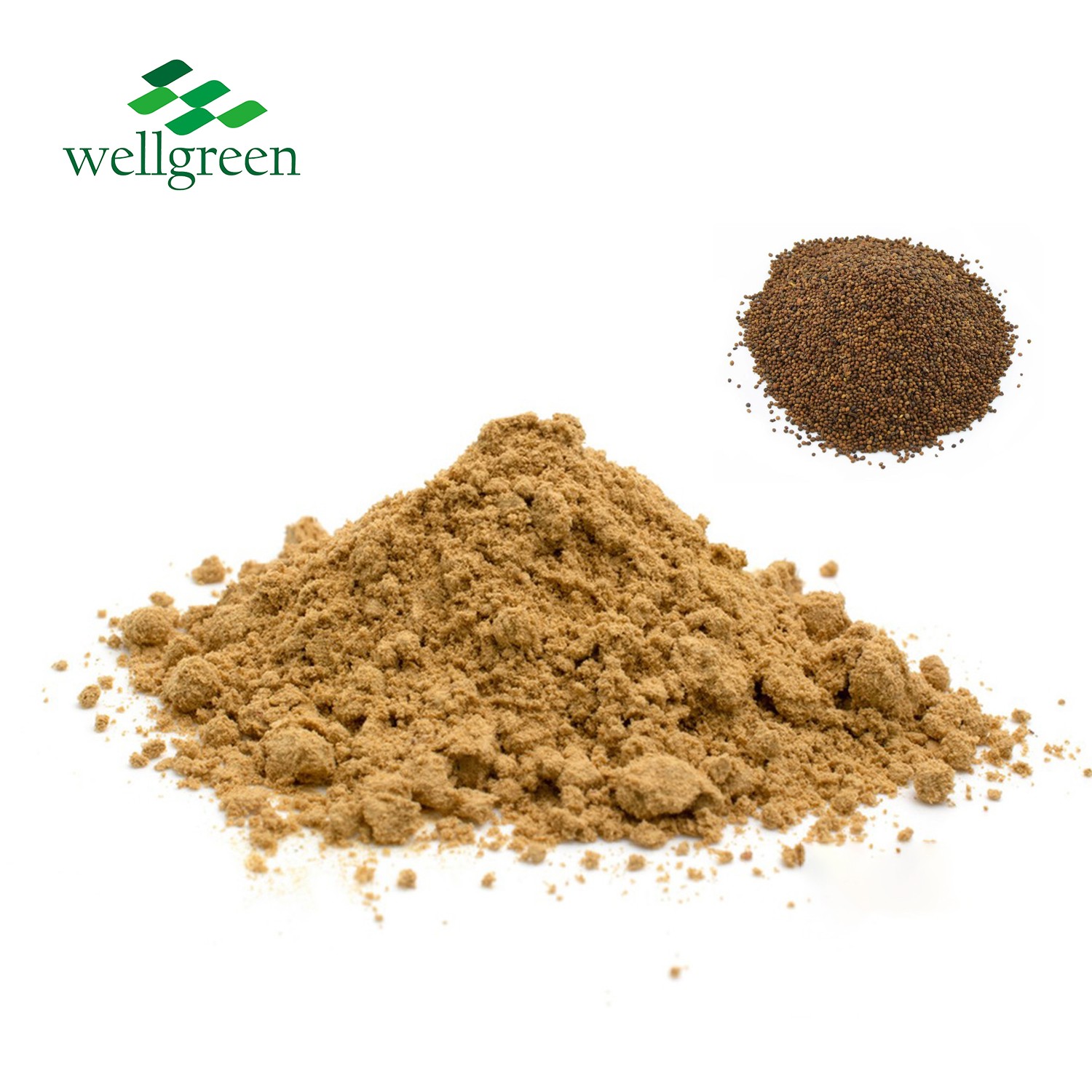 Dodder Seed Extract